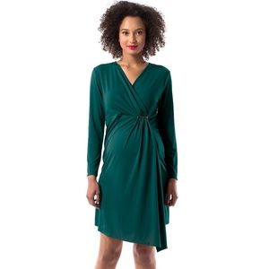 Maternity/nursing dress